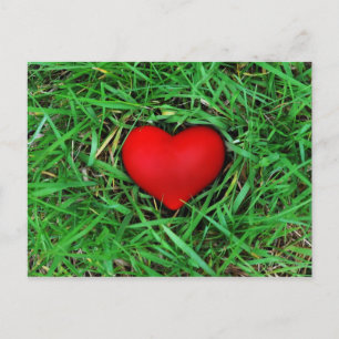 Environmentally friendly love - Postcard
