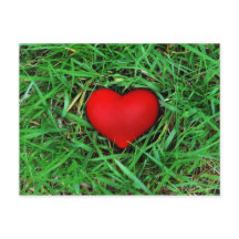 Environmentally friendly love - Postcard