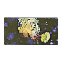 Envisionniste : Un voyage céleste