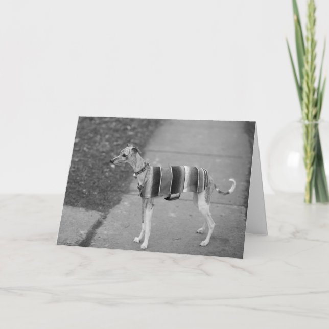 Enzo's Greeting Card (Front)