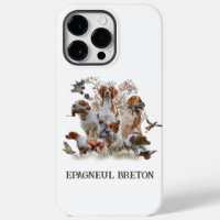 Epagneul Breton, Brittany Spaniel     