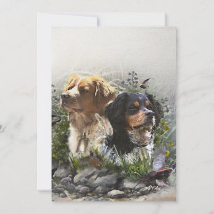 Epagneul Breton, Brittany Spaniel   Invitation