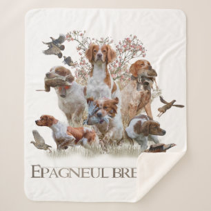 Epagneul Breton, Brittany Spaniel    Sherpa Blanket