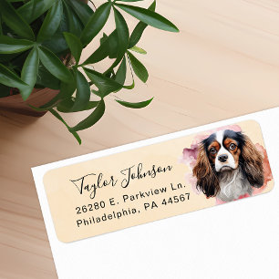 Épagneul Cavalier King Charles Adresse de Retour