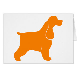 Épagneul Cocker Orange