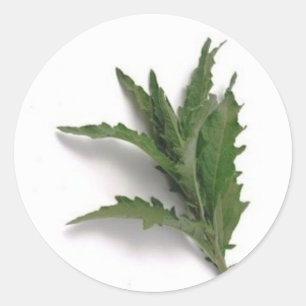 Epazote Classic Round Sticker