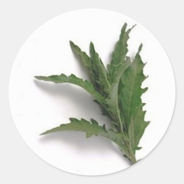 Epazote Classic Round Sticker (Front)