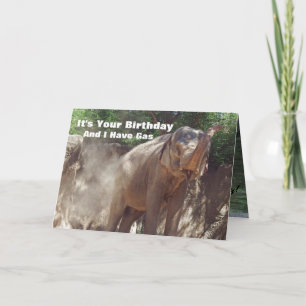 Ephant Drôle Avec Carte D'Anniversaire Au Gaz