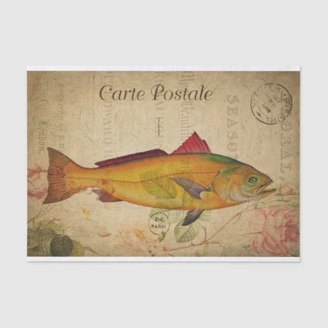 Ephemera Colourful Salmon Bass Fish Decoupage Tissue Paper (Front)