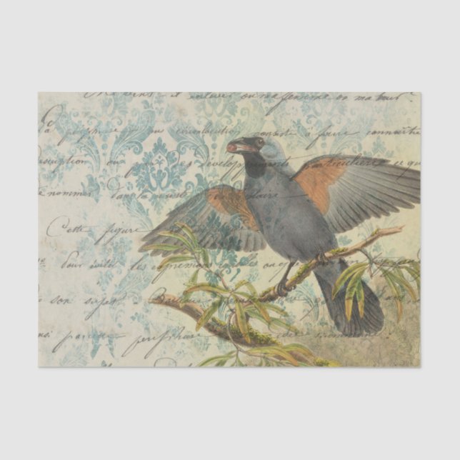 Ephemera Damask Bird Tissue Paper (Front)