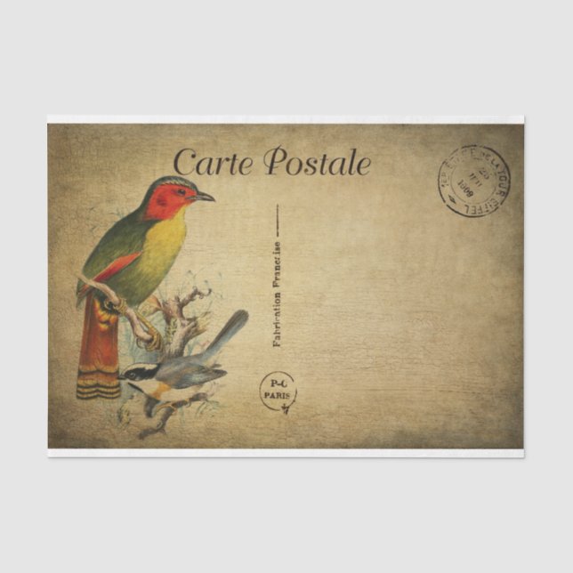Ephemera French Postcard Colourful Birds Decoupage Tissue Paper (Front)