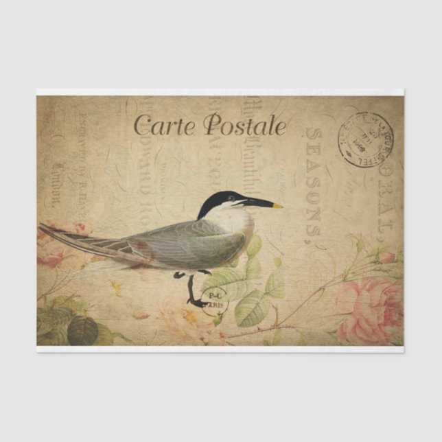 Ephemera French Postcard Cute Bird Decoupage Tissue Paper (Front)