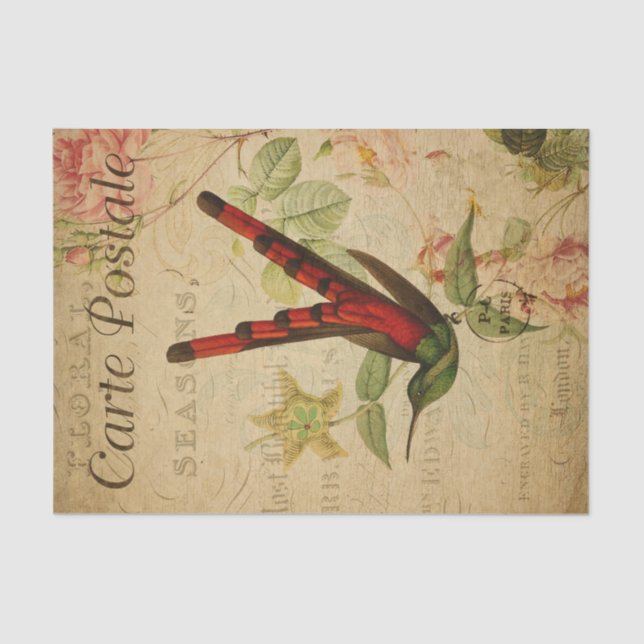 Ephemera French Postcard Hummingbird Decoupage Tissue Paper (Front)