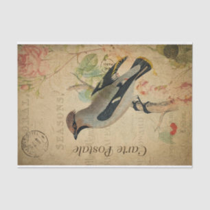 Ephemera French Postcard Waxwing Bird Decoupage  Tissue Paper