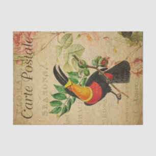 Ephemera French Tropical Toucan Bird Decoupage  Tissue Paper