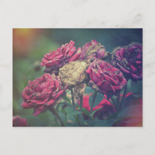 Ephemera Journal Craft Postcard Roses