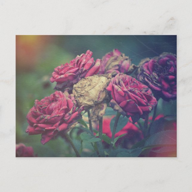 Ephemera Journal Craft Postcard Roses (Front)