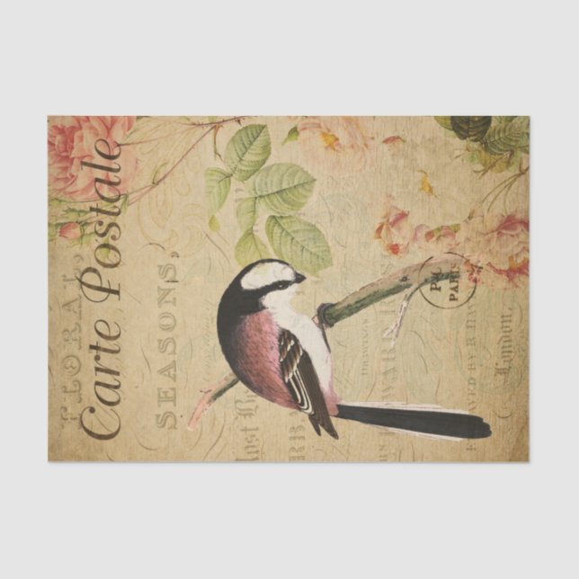 Ephemera Long-Tailed Tit Bird Pink Roses Decoupage Tissue Paper (Front)