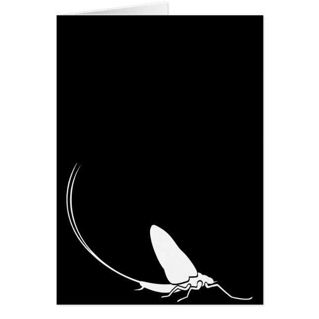 Éphémère (Devant)