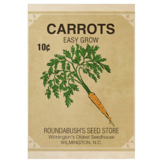 Ephémère du Poster vintage de graines de carottes