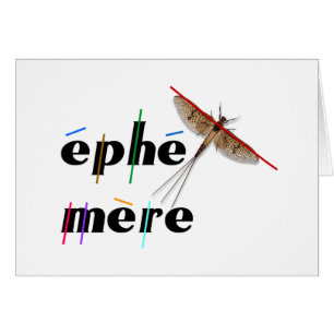 éphémère instantané