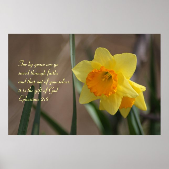Ephesians 2:8 Biblical Verse with Yellow Daffodil Poster (Front)
