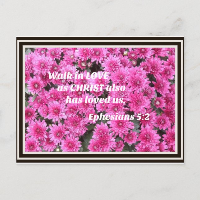 Ephesians 5:2 Walk in love as Christ also loved us Holiday Postcard (Front)