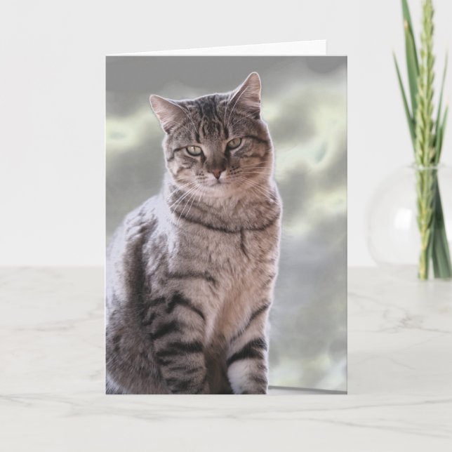 Ephraim's Cat Card (Front)