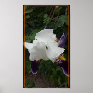 Epic Flower 1 Poster