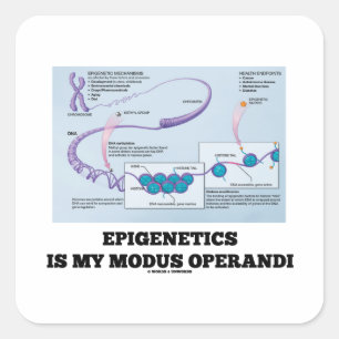 Epigenetics Is My Modus Operandi (Mechanisms) Square Sticker