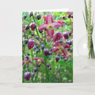 Epimedium Flowers Birthday Card