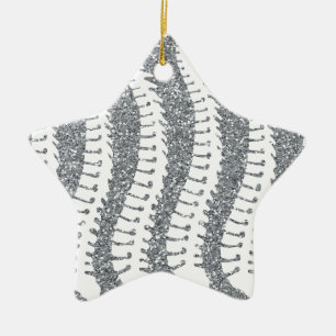 Épines et ornement d'étoile de parties