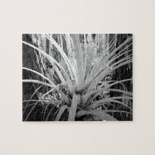 Epiphytic tillandsia are common in the Florida, Jigsaw Puzzle