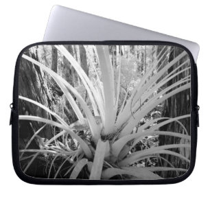 Epiphytic tillandsia are common in the Florida, Laptop Sleeve