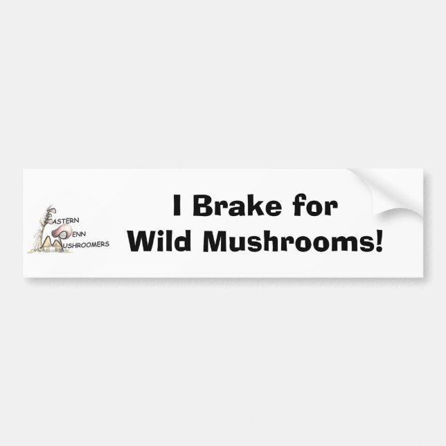 EPM Logo Bumper Sticker (Front)