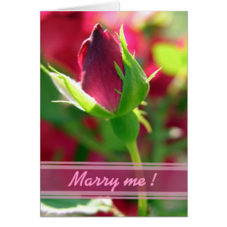 Épouse rouge de rose