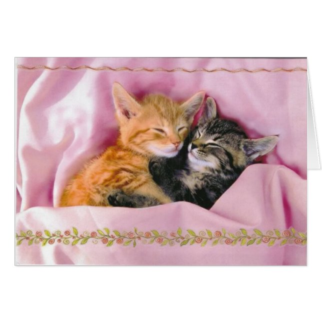 Épouses Dormir ; Épouses (Devant horizontal)