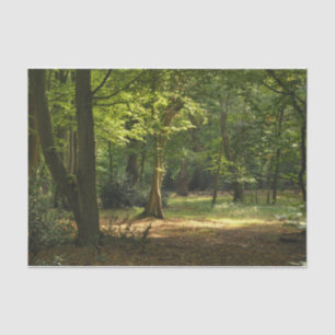 Epping Forest Tissue Paper
