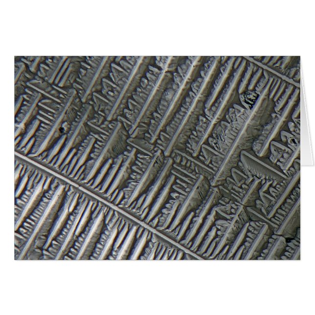 Epsomite under the microscope (Front Horizontal)