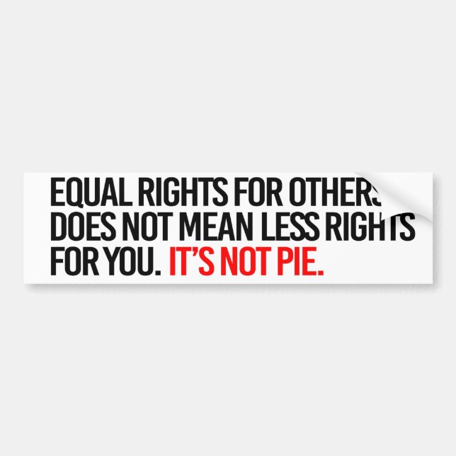 Equal Rights for others does not mean less rights  Bumper Sticker (Front)
