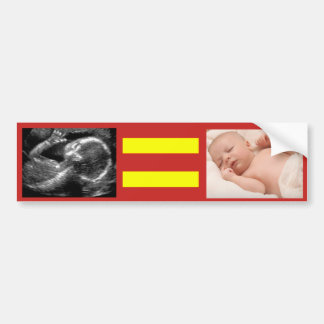 Equality Abortion Bumper Sticker