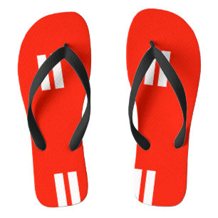 Equality Flag Flip Flops