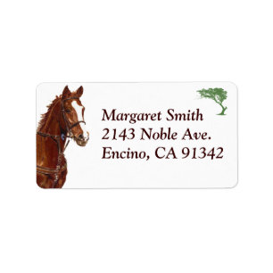Equestrian Horse Address Label