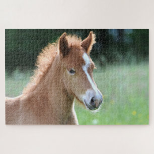 Equestrian Horse Foal Jigsaw Puzzle