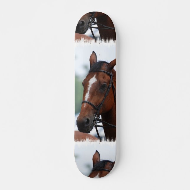 Equestrian Horse Show Skateboard (Front)