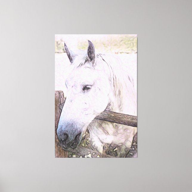 *~* Equine AR22 White Horse over Wood Fence   Canvas Print (Front)