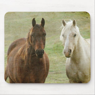 Equine Buddies Mouse Pad