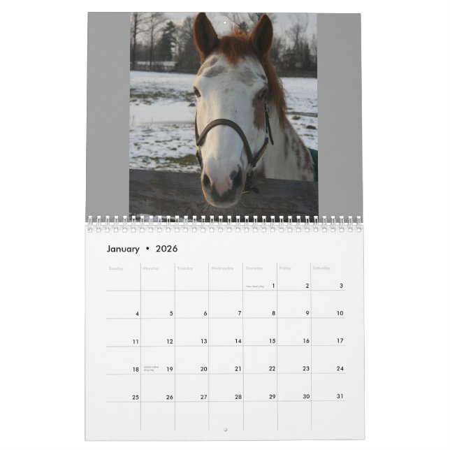 Equine Calendar (Jan 2026)