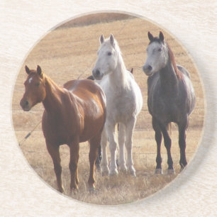 Equine Curiosity 3 Coaster