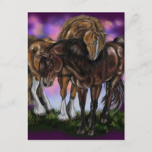 Equine Devotion~valentine postcard (Front)